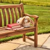 327r_children_sbench2ft_4-large.jpg.webp.webp