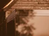 5-x-3.5-detail-screen-1.jpg