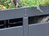 bin_holes_3.jpg