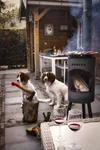bonfeu-bongiano-sp-outdoor-fireplace5.png.png