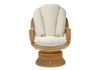 daro-cane-waterford-swivel-rocker-chair.jpg