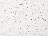desser-pedro-terrazzo-look-coffee-table4.jpg.jpg