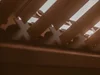 eclipse-louvre-detail-1.jpg