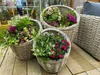 fiji-flower-basket.jpg
