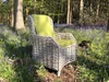 fijidiningchairongrassxl_3_xl_1_.jpg