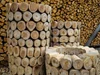 log_bowl_planter_set-3_bi_3.jpg