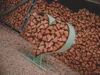 love-heart-log-store-sage-green.jpg