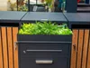 planter-parcel-letter-07-bi.jpg