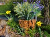 reclaimed-teak-root-small-planter.jpg