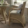 waterford-carver-dining-chair.jpg.jpg