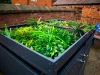 wheelie-bin-cover-with-planter-anthracite-double-4.webp.webp