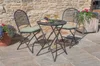 z0201-0200-and-20r938-cafe-roma-with-sage-pads-lifestyle.jpg.jpg