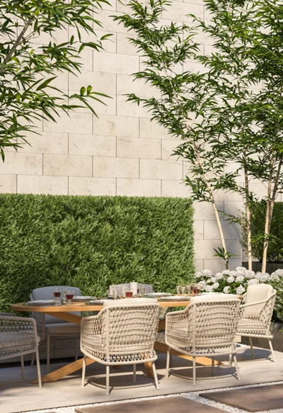 Category Image