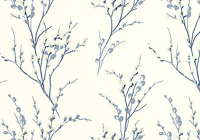 Category Image
