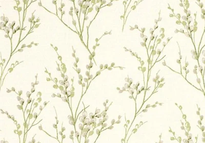 Category Image