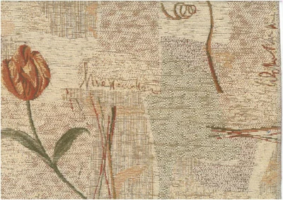 Category Image