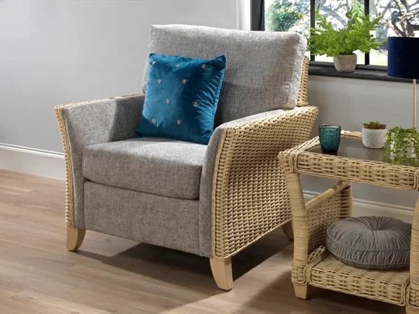 desser-arlington-cane-armchair.jpg.jpg