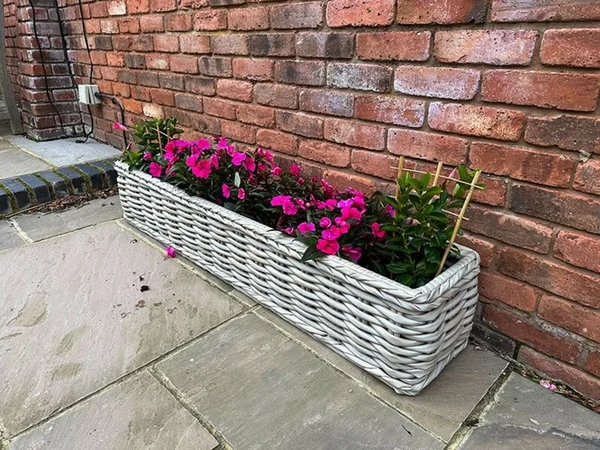 fiji-trough-planter.jpg